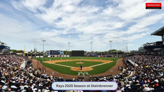 Rays 2025 Season at Steinbrenner Field What It Means for Tampa Bay Fans